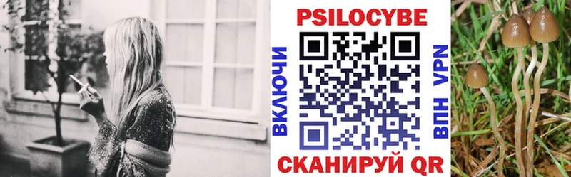 kraken онион  сколько стоит  Суджа  Псилоцибиновые грибы прущие грибы 